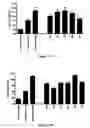 Fig. 14 - Analogs of 4-hydroxyisoleucine and uses thereof