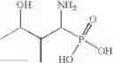 Fig. 151 - Analogs of 4-hydroxyisoleucine and uses thereof