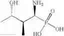 Fig. 152 - Analogs of 4-hydroxyisoleucine and uses thereof