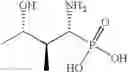 Fig. 153 - Analogs of 4-hydroxyisoleucine and uses thereof