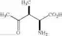 Fig. 22 - Analogs of 4-hydroxyisoleucine and uses thereof