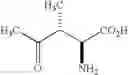 Fig. 68 - Analogs of 4-hydroxyisoleucine and uses thereof