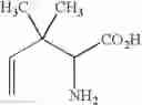 Fig. 78 - Analogs of 4-hydroxyisoleucine and uses thereof