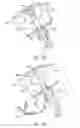 Fig. 04 - Intra-abdominal medical procedures and device