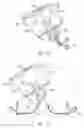 Fig. 05 - Intra-abdominal medical procedures and device