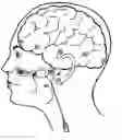 Fig. 01 - Noninvasive nonlinear systems and methods for predicting seizure