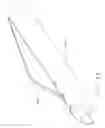 Fig. 29 - Biopsy device with variable side aperture