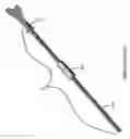Fig. 02 - Pap smear collection device with ejection sleeve