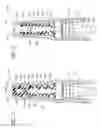 Fig. 13 - Positive flow valve