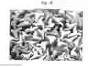 Fig. 07 - Solid regenerated standard viscose fibres