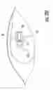 Fig. 22 - Intramedullary interlocking fixation devices for the distal radius