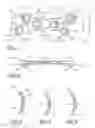 Fig. 02 - Orthopedic plate