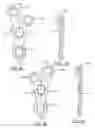 Fig. 07 - Orthopedic plate