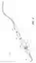 Fig. 07 - Surgical file instrument