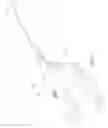 Fig. 02 - DEVICE FOR REMOVING DISEASED SURFACE TISSUES
