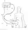 Fig. 01 - Systems and methods for intra-operative stimulation