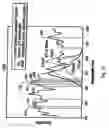 Fig. 11 - Method and apparatus for skin treatment