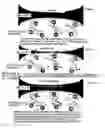 Fig. 01 - Electromagnetic stimulation in patients with osteoporosis