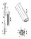 Fig. 13 - Extensible implantable medical lead