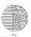 Fig. 05 - Stent coating for eluting medication