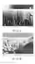 Fig. 06 - Stent coating for eluting medication