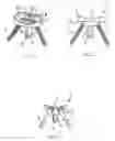 Fig. 02 - Prosthesis for the glenoid cavity of the scapula