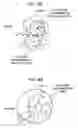 Fig. 09 - Collision determination program and collision determination apparatus