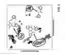 Fig. 07 - High-throughput screening hit selection system and method