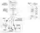 Fig. 01 - Method of organizing map data for affinity relationships and application for use thereof