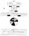 Fig. 02 - Generating royalty revenue using intellectual property