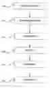 Fig. 01 - Videonline security network architecture and methods therefor