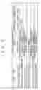 Fig. 06 - Large capacity data sales server and recording medium recording program thereof