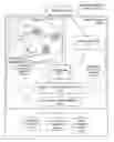 Fig. 01 - Adaptive social and process network systems
