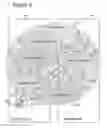 Fig. 10 - Adaptive social and process network systems