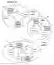 Fig. 30 - Adaptive social and process network systems