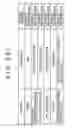 Fig. 21 - Information processing device and method, program, and recording medium