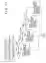Fig. 22 - Information processing device and method, program, and recording medium