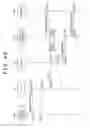 Fig. 40 - Information processing device and method, program, and recording medium