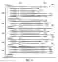 Fig. 05 - Method and apparatus for role mapping methodology for user registry migration