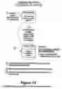 Fig. 10 - High availability designated winner data replication