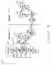 Fig. 06 - Checkpoint and consistency markers
