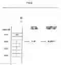 Fig. 03 - Storage medium for storing processing mode specifying information conversion program and processing mode specifying information conversion method