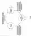 Fig. 05 - Systems and methods for delineating a cell in a communications network
