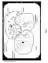 Fig. 04 - Method for reproducing audio documents with the aid of an interface comprising document groups and associated reproducing device