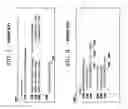 Fig. 02 - Transforming code to expose glacial constants to a compiler