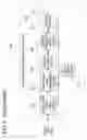 Fig. 04 - Wireless video transmission system