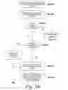 Fig. 09 - Systems and methods for providing client-side accelerated access to remote applications via TCP pooling
