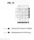 Fig. 12 - Apparatus, systems and methods for providing enhancements to ATSC networks using synchronous vestigial sideband (VSB) frame slicing