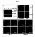 Fig. 04 - Regulating the ethylene response of a plant by modulation of F-box proteins