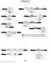 Fig. 09 - Recombinant DNA constructs and methods for controlling gene expression